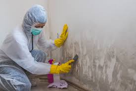 Best Mold Documentation for Insurance Claims  in Oronoque, CT